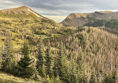 Continental Divide Trail